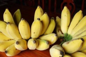 8 ประโยชน์จากกล้วย แค่ทานกล้วยในตอนเช้า ช่วยให้หายโรคได้โดยไม่ต้องทานยา