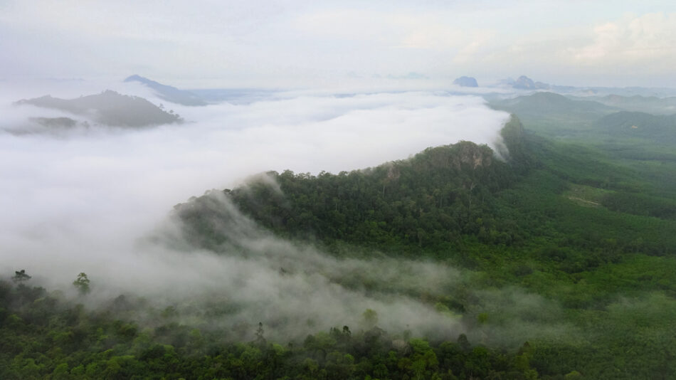 มุมมองทางอากาศของพื้นที่ป่าที่มีเมฆลอยต่ำในที่เที่ยวตรัง เที่ยวตรัง