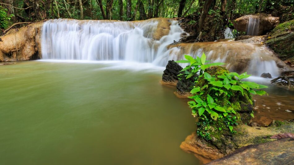 น้ำตกเงียบสงบกลางป่าเขียวขจี - ที่เที่ยวตรัง,สถานที่ท่องเที่ยวพิ เที่ยวตรัง